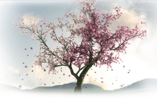 Pink flower tree mountains spring - promotional image free wallpaper