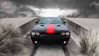 Black car red stripe cobra - a black car free wallpaper