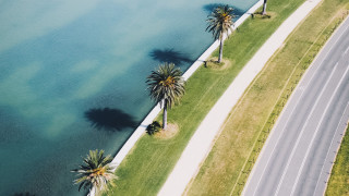 Road palm trees water summer - palm tree free wallpaper