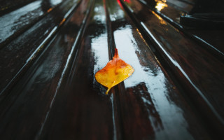 Leaf bench rainy city redcar - rainy free wallpaper