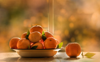Bowl oranges leafy branch still - a still life free wallpaper