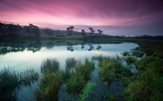 Lake sunset forest bush water - rich moody colour free wallpaper