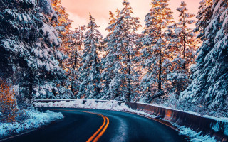 Winter forest sunset starry sky - cloud and snow free wallpaper