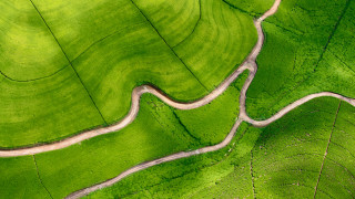 Winding road green field aerial - afewerk tekle free wallpaper