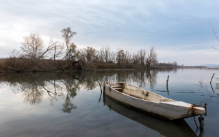 Small boat shore dead trees - anthony s waters free wallpaper