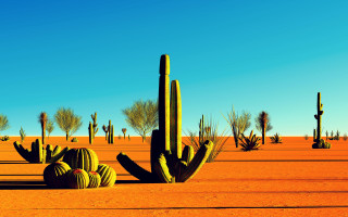 Desert cactus blue sky fireworks - the sky free wallpaper