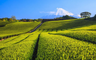 Green field mountain blue sky 2 - a large field free wallpaper