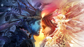 Woman hairy head bird fantasy - a large head free wallpaper