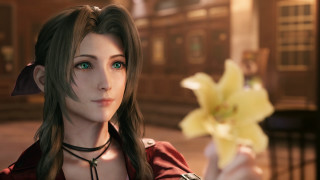 Woman flower serious vanitas highly - akihiko yoshida free wallpaper for desktop