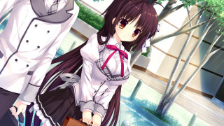 Woman man white shirt tie - a white shirt and tie free wallpaper
