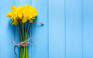 Yellow flowers blue wall rope - a blue wall free wallpaper