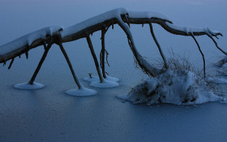 Wooden structure snow frozen lake - a few branch free wallpaper