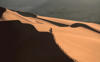 Desert hill walking dog mountain - amir zand free wallpaper