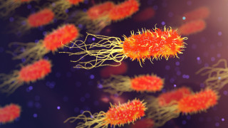 Red yellow cells purple background - white dot free wallpaper
