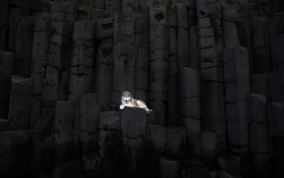 Dog rock formation dark black - andy goldsworthy free wallpaper