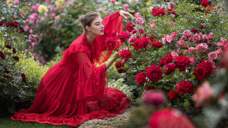 Woman red dress garden roses - dorothea braby free wallpaper