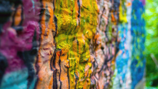 Colorful wall graffiti bokeh blurry - a blurry background of trees and bushes free wallpaper