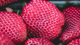 Strawberries bowl water droplets green - a bowl free wallpaper