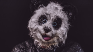 Panda leather jacket fur collar - artur grottger free wallpaper