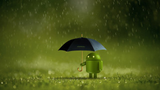 Android rainy umbrella hydrangea nature - rain drop free wallpaper
