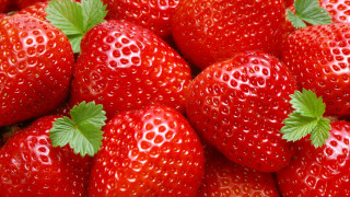 Strawberries greenleaves redbackground whiteborder precisionism - strawberry free wallpaper