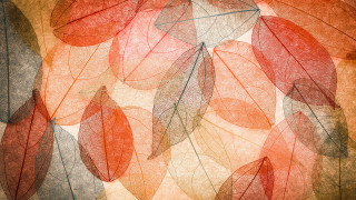 Leaves white background red green - paper texture free wallpaper