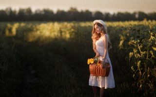 Woman white dress hat sunflowers - a field of sunflowers free wallpaper