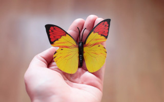 Yellow butterfly hand intricate fiona - detail free wallpaper