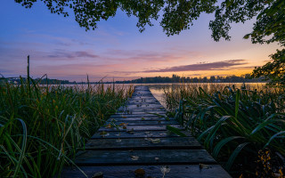 Wooden walkway lake sunset reeds - a wooden walkway free wallpaper