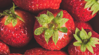Strawberries water droplets green leaf - a close up of a bunch free wallpaper