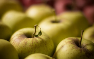 Green apples stem macro shallow - a green apple free wallpaper