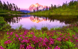 Mountain lake reflection wildflowers sunset - bob thompson free wallpaper
