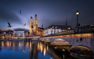 City bridge river birds clocktower - bird free wallpaper for desktop