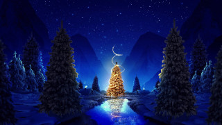 Christmas tree night sky moon - the night sky free wallpaper