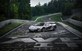 Silver sports car graffiti forest - side and trees free wallpaper