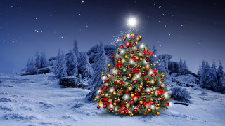Christmas tree snow star aurora - the snow free wallpaper for desktop