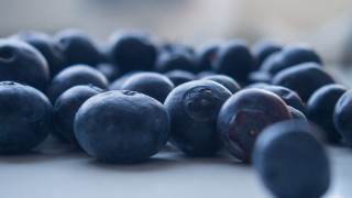 Blueberries closeup blurry macro depthchromatic - blueberry free wallpaper
