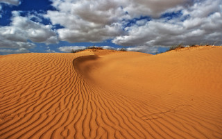 Sandy desert landscape clouds trees - sandy free wallpaper