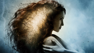 Woman hairloss blue background bird - overhead free wallpaper