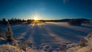 Sunset snowy field trees blue - anamorphic free wallpaper