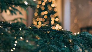 Christmas tree lights bokeh blurry - art free wallpaper for desktop