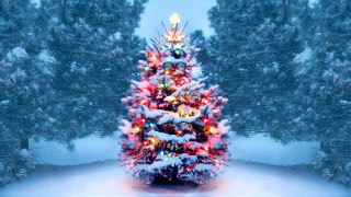 Christmas snow lit tree nature - covered tree free wallpaper