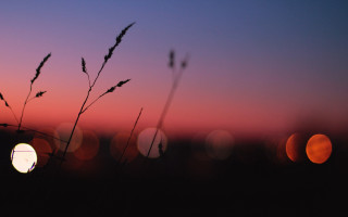 Sunset lightbulb field moon redsky - shallow free wallpaper