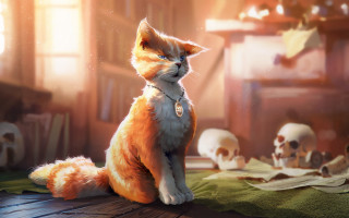 Cat skulls blue eyes indoor - skull free wallpaper