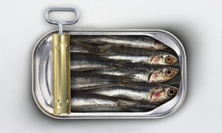 Sardines yellow handle white background - a white background free wallpaper