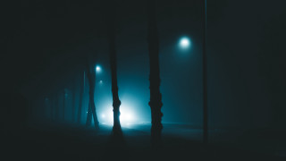 Foggy night street lights trees - a foggy night free wallpaper