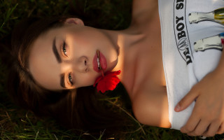 Woman grass flower wine romantic - rose free wallpaper
