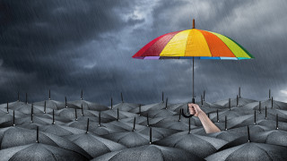 Colorful umbrella group rain black - a person holding free wallpaper