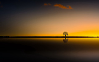 Lone tree sunset lake reflection - a lone tree free wallpaper