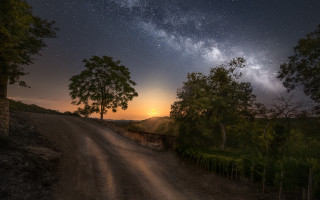 Dirt road trees starry sky - night sky free wallpaper
